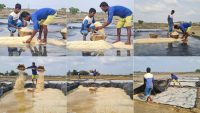 লক্ষ্যমাত্রা ছুঁতে পারেনি লবণ উৎপাদন